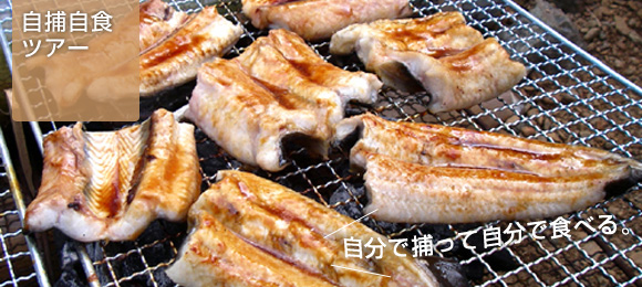 ���⎩�H�c�A�[