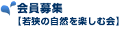 �����W�@�ዷ�̎��R���y���މ�