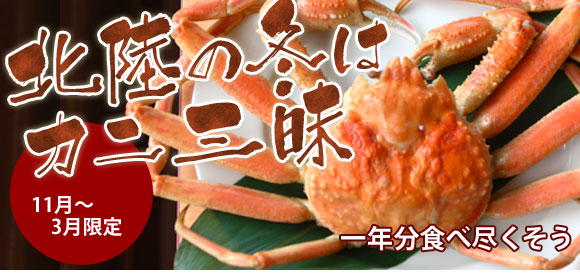�k���̓~�̓J�j�O���@11���`3������